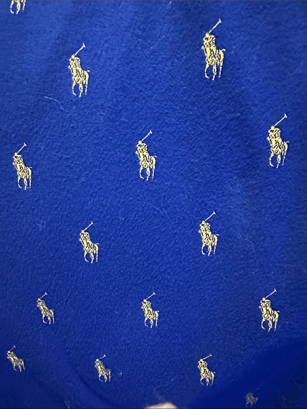 Polo by Ralph Lauren lounge pants